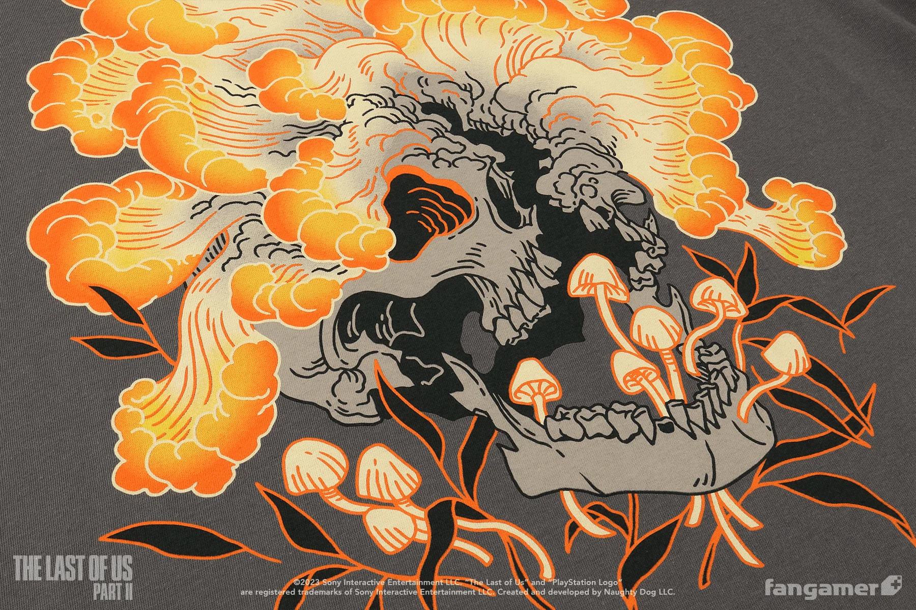 Cordyceps - Image 6