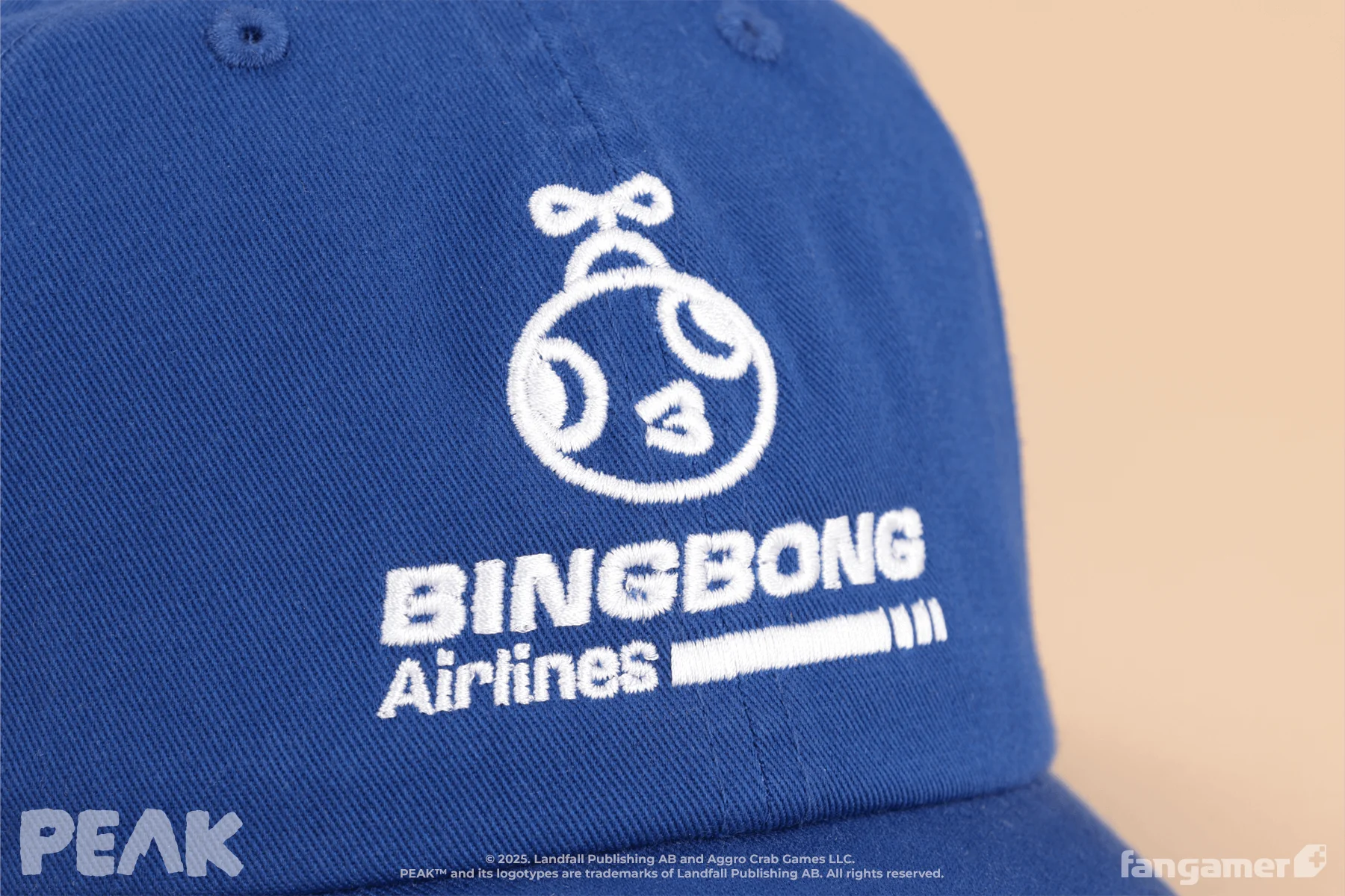 BINGBONG Airlines Hat - Image 5